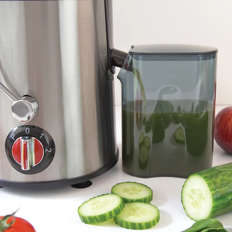 500W 2 Speed Stainless Steel Electric Centrifugal Juicer