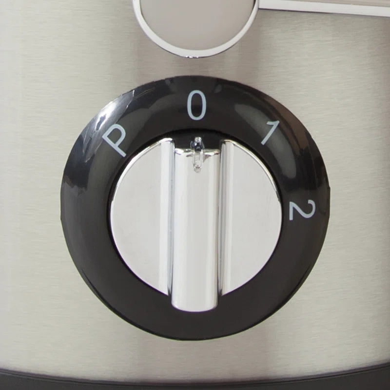 500W 2 Speed Stainless Steel Electric Centrifugal Juicer