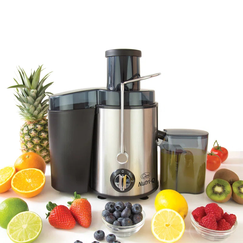 500W 2 Speed Stainless Steel Electric Centrifugal Juicer