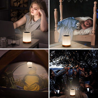Night Light LED Touch Bedside Table Lamp Multi-Color Dimmable Chargeable
