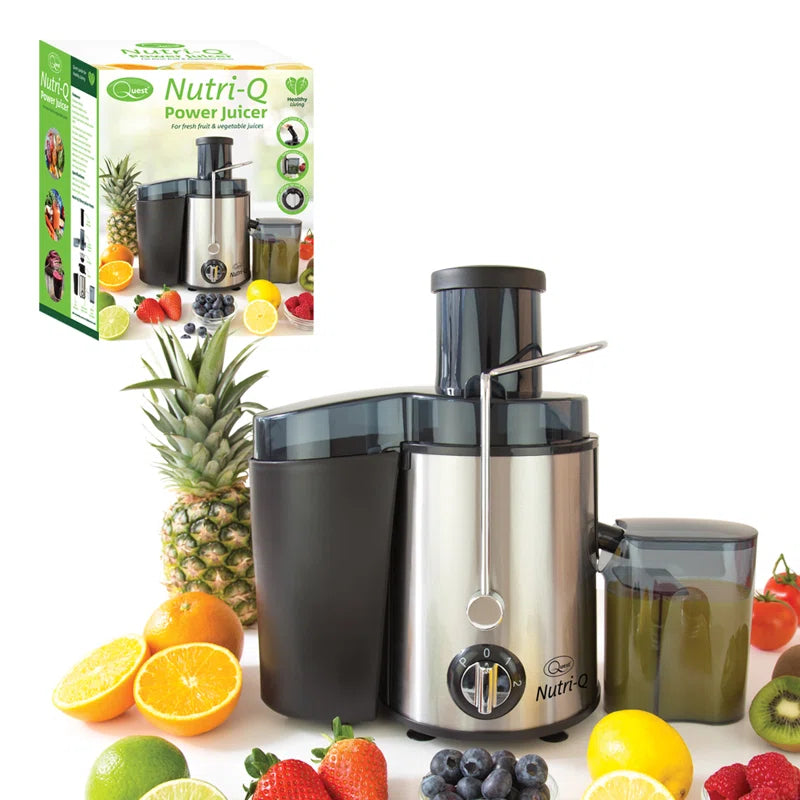 500W 2 Speed Stainless Steel Electric Centrifugal Juicer