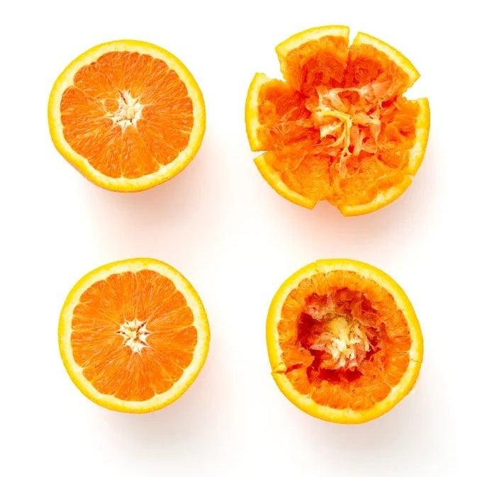 Manual Citrus Juicer - Scott3